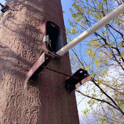 Sztuczne drzewa Telekomunikacja Monopole stalowe Q345