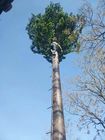 Telecom Palm Tree Wysokość 10 m wieża komórkowa z kamuflażem