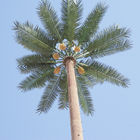 30-metrowa wieża komórkowa z kamuflażem palmowym Gsm