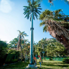 Ocynkowane sztuczne drzewa telekomunikacyjne w wieży kamuflażowej
