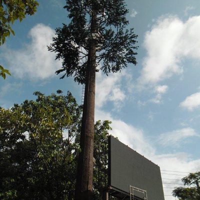 Społeczność kamuflaż Cell Tower Sosna Komunikacja